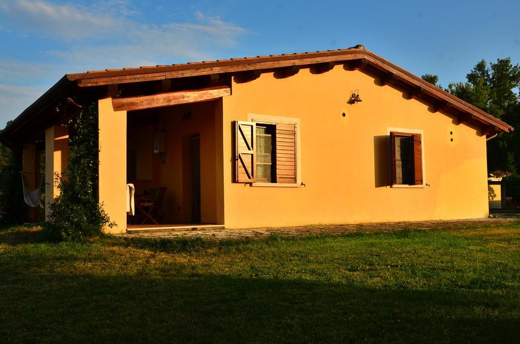 Agriturismo Terre Di Musignano Канино Номер фото