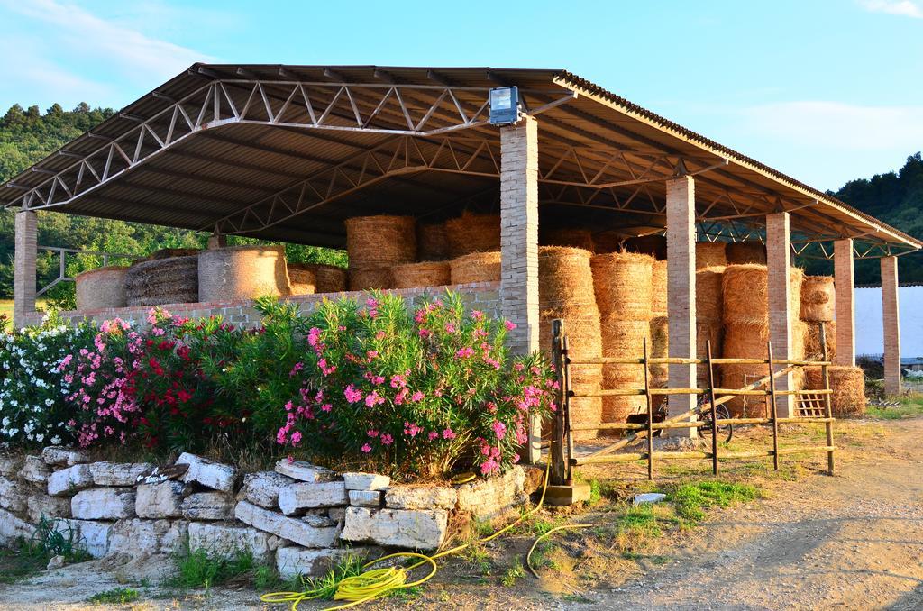 Agriturismo Terre Di Musignano Канино Номер фото