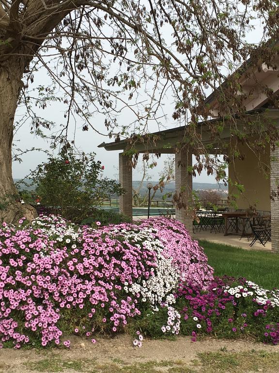 Agriturismo Terre Di Musignano Канино Экстерьер фото