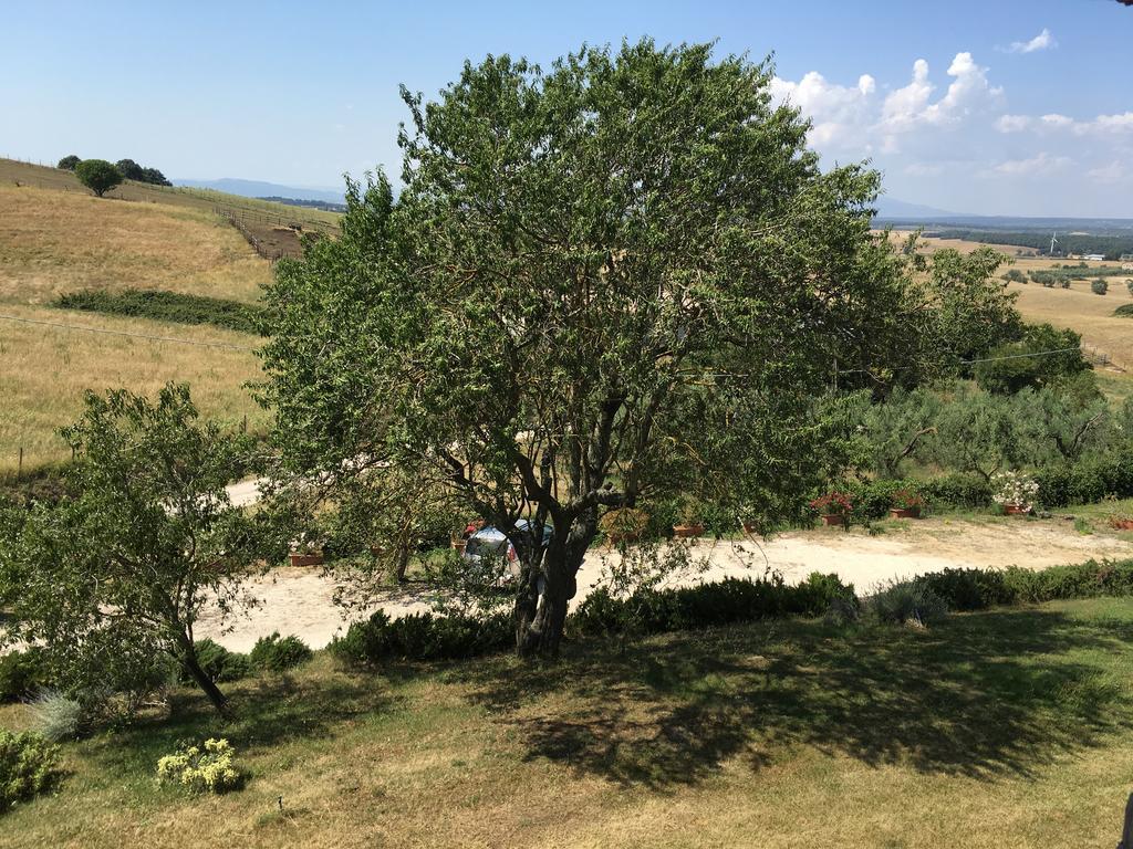 Agriturismo Terre Di Musignano Канино Экстерьер фото